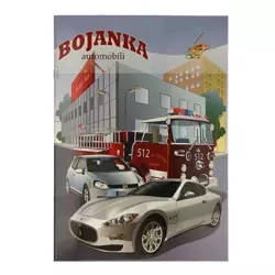 BOJANKA AUTOMOBILI