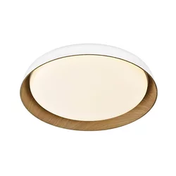 Top Light-LED prigušiva stropna svetiljka SATELLITE LED/36W/230V 3000-6500K bela + daljinski upravljač