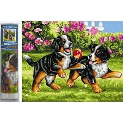 Norimpex Diamantna slika Igrivi kužki 30x40cm