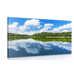 Slika narava v poletju - 120x80