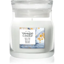 Yankee Candle Silver Birch dišeča sveča Signature 110 g