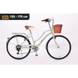 Xplorer City bike VERONA Olive green 26