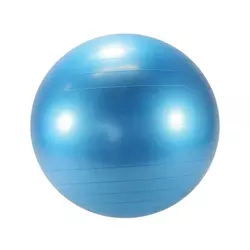 LEDRAPLASTIC Lopta Body ball 95