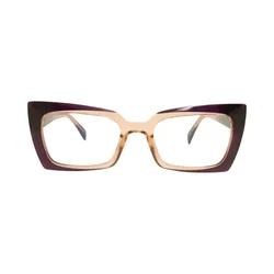 Berkeley Naočare BB 2164 C5