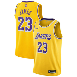 Dres Nike LeBron James Los Angeles Lakers Swingman Gold