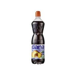 DANA ledeni čaj (sirup), 1l