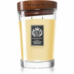 Vellutier Madagascar Adventure dišeča sveča 515 g