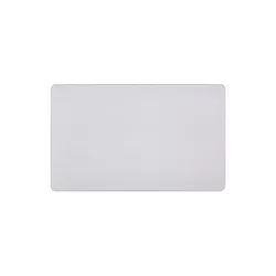 Apple MacBook Pro 13 A2159 (2019) - Trackpad (Silver)