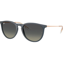 Ray-Ban Erika Naočare za sunce RB 4171 681311