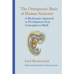 Ontogenetic Basic of Human Anatomy