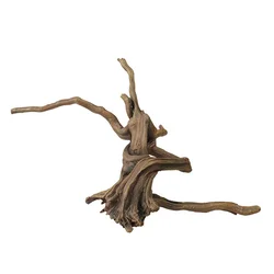 AQUA DELLA DRIFTWOOD 3