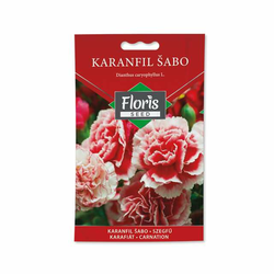 FLORIS Seme za cveće Karanfil Šabo 0.3g
