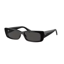 Ray-Ban Teru Naočare za sunce RB 4425 667787