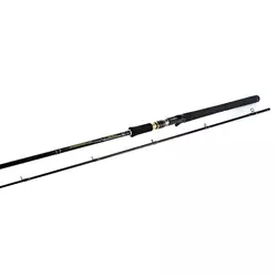 FORTIS CAST 2.58m 40-80g