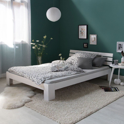 Homestyle4U Posteljni okvir, 160x200 cm, bela