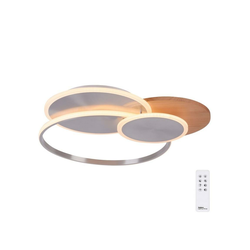 Paul Neuhaus 8328-79 - LED prigušiva plafonska svetiljka PALMA LED/50W/230V + daljinski upravljač