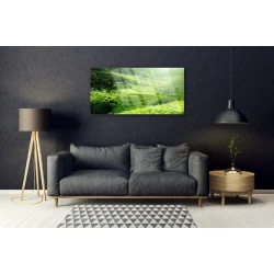 tulup.si Steklena slika Travnik narava 125x50 cm 2 obešalnika