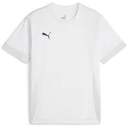 Puma Dres teamGOAL Matchday Jersey jr