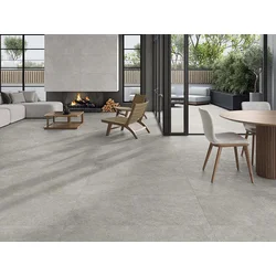 ARENITE GREY 60x120