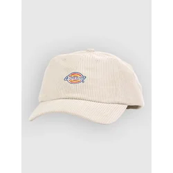 Dickies Hardwick Cord Cap stone
