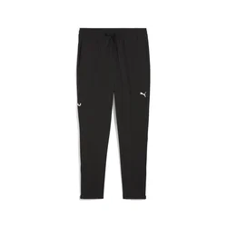Mens Puma FLEX STRETCH Woven Training Pants, Black, Size XL, Sport