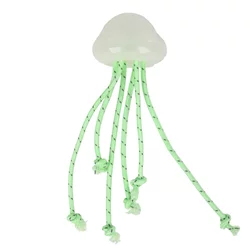 AFP K-Nite MEDUZA