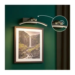 Paulmann 95559 - LED/6W lampa za slike BENTO 230V 30 cm mesing