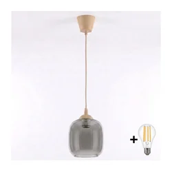 Brilagi - LED luster na sajli R GLASS 1xE27/60W/230V prečnik 14 cm bež/dimno siva