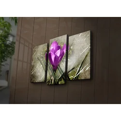 Wallity Set slika sa LED rasvjetom 3PATIACT-3, 3 dijela