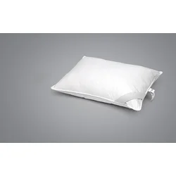 Jastuk perjani Srebrni san Classic 50x70cm OK