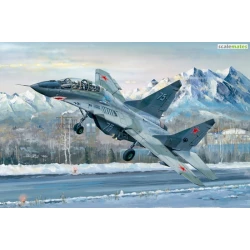 Russian MiG-29 UB Fulcrum