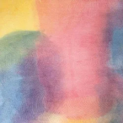 Modern Studies - The Weight Of The Sun (Limited Edition) (LP)