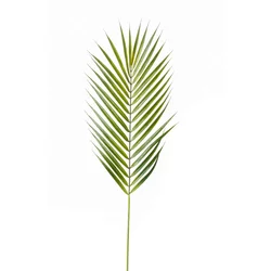 Umetna palmina veja 75cm Kamadora - 50 do 75 cm