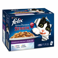 Felix Fantastic Senior 24 x 100 g - miješana raznolikost