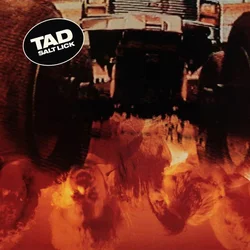 Tad - Salt Lick (Reissue) (Limited Edition) (EP)