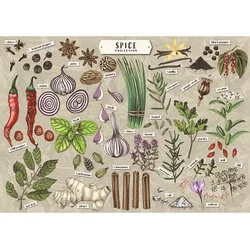 Trefl - Puzzle Premium Plus Finders Keepers: . - 500 kosov