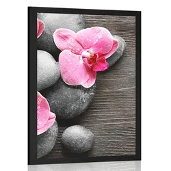 Plakat elegantna kompozicija s cvetovi orhideje - 20x30 black