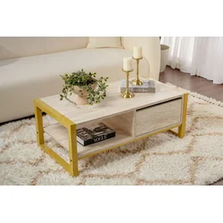 Hanah Home Klub sto Haldizen, 105x40x55 cm, Bež