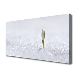 tulup.si Slika na platnu Snowdrop sneg winter 100x50 cm