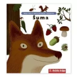 Šuma