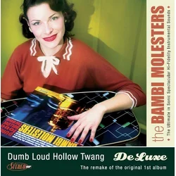 BAMBI MOLESTERS - DUMB LOUD transparent gatefoLP
