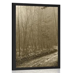 Plakat sepia steza v gozd - 60x90 white