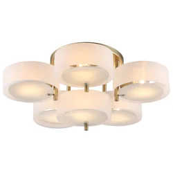 Plafonska lampa F7030-6C SG