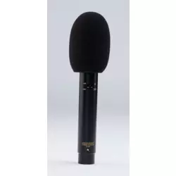 Audix ADX51 Condenser Mic