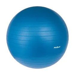 REBEL ACTIVE Pilot lopta za gimnastiku i fitnes sa pumpom plava 55cm RBA-3100-BL