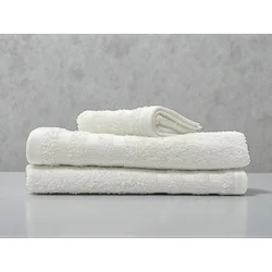 Premium Peskir 30×50 cm Dupli Štep, 100% Pamuk Vestio Bela boja ( VLK000110-belabojavestio )