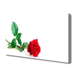 tulup.si Slika na platnu Rose flower rastlin narava 140x70 cm