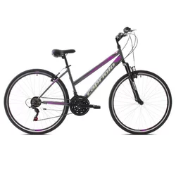 CAPRIOLO Bicikl TREK-SUNRISE L 28/18HT sivo-roze