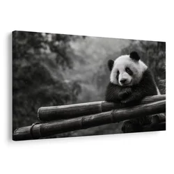 Slika panda počiva na bambusu - 150x100