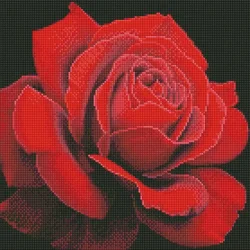 Rayher. Diamantni mozaik, Red rose, 40x40 cm